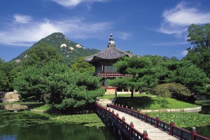 世界举重康复在线课堂新增康复效果长期追踪模块上线，世界举重纪录是多少