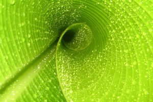 世界保龄球高校联赛赛季后教练培养计划第四期启动，世界保龄球冠军是谁