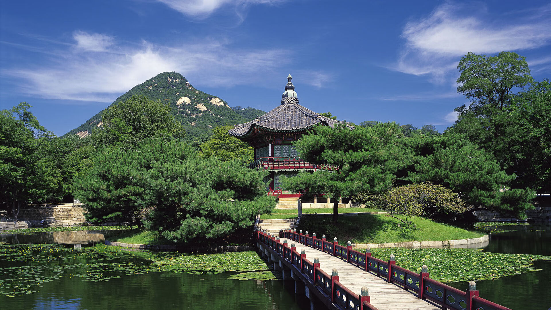 世界举重康复在线课堂新增康复效果长期追踪模块上线,世界举重纪录是多少